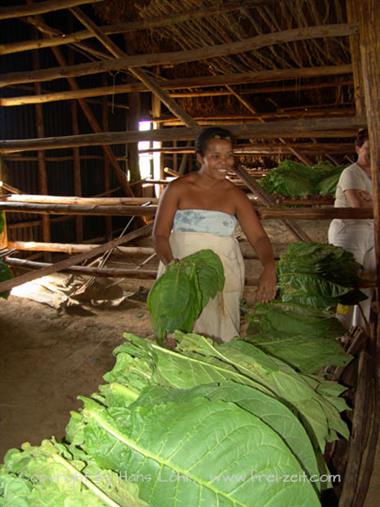 2004 Cuba, Havanna - Maria la Gorda, DSC00538 B_B720